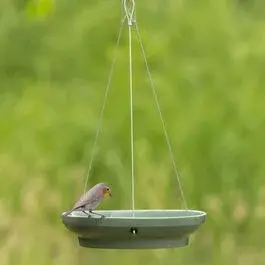 Vivara Hengende fuglebad Vesi produktbilde